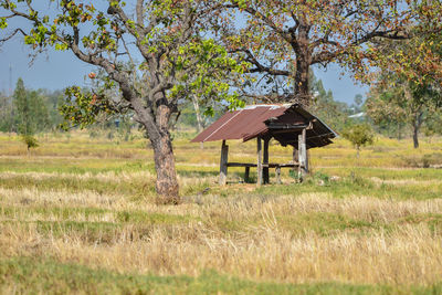 Gazebo on field against trees