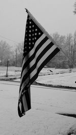 Snow covered field