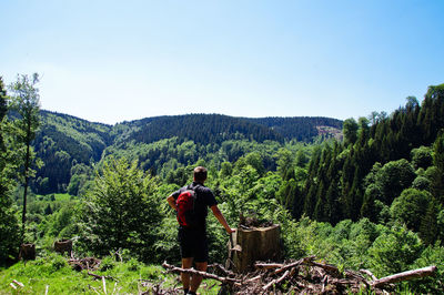 Rear view of man standing in forest against sky