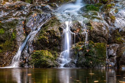Scenic view of waterfall in forest