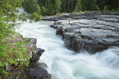 Scenic view of waterfall in forest