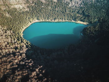 Aerial view of lake and trees