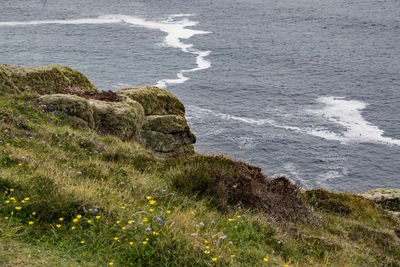 High angle view of rocks on sea shore