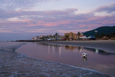 View of dog in city at sunset