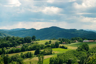 Scenic view of trees on field against sky