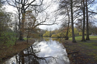 Scenic view of stream amidst trees in forest