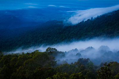 Scenic view of forest against sky