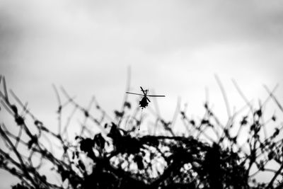 Low angle view of airplane flying against sky
