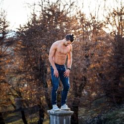 Man standing by tree in forest