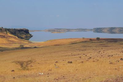 Scenic view of landscape against sky