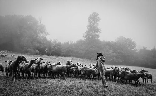 People walking on field against sky