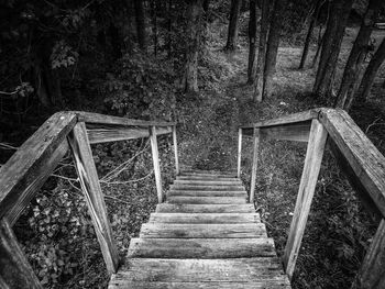 Staircase in forest