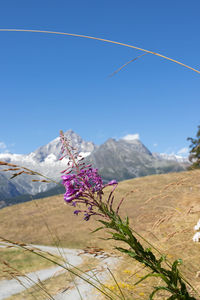 Scenic view of mountains against blue sky