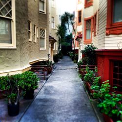 Narrow alley along buildings