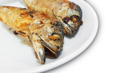 High angle view of fish served in plate
