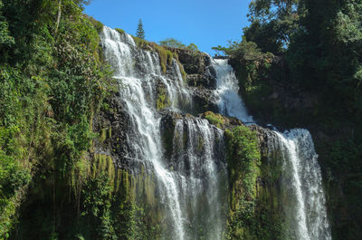 Scenic view of waterfall in forest