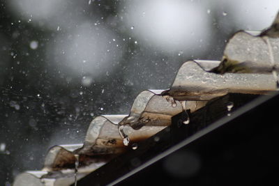 Close-up of wet metal during rainy season