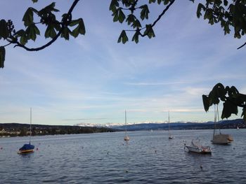Sailboats in sea against sky