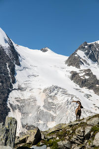 Scenic view of snowcapped mountains against clear blue sky