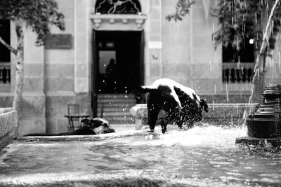 Man with dog in city