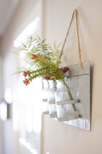 Close-up of potted plant on table at home