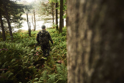 Rear view of man amidst plants in forest