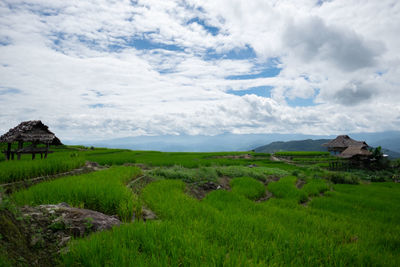 Scenic view of farm against sky