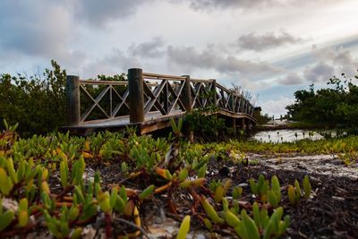 View of bridge over plants against sky