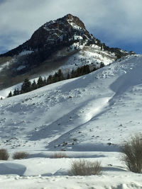 Close-up of snow covered landscape against sky