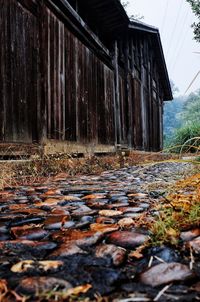 Surface level of fallen leaves in abandoned building