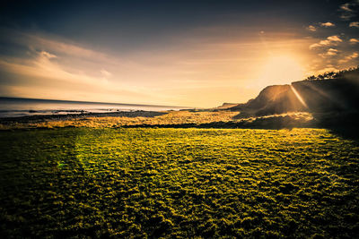 Scenic view of field against sky during sunset