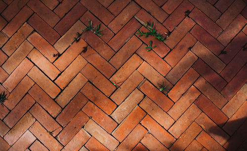 Full frame shot of tiled floor