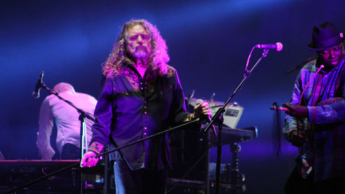 Group of people playing guitar at music concert