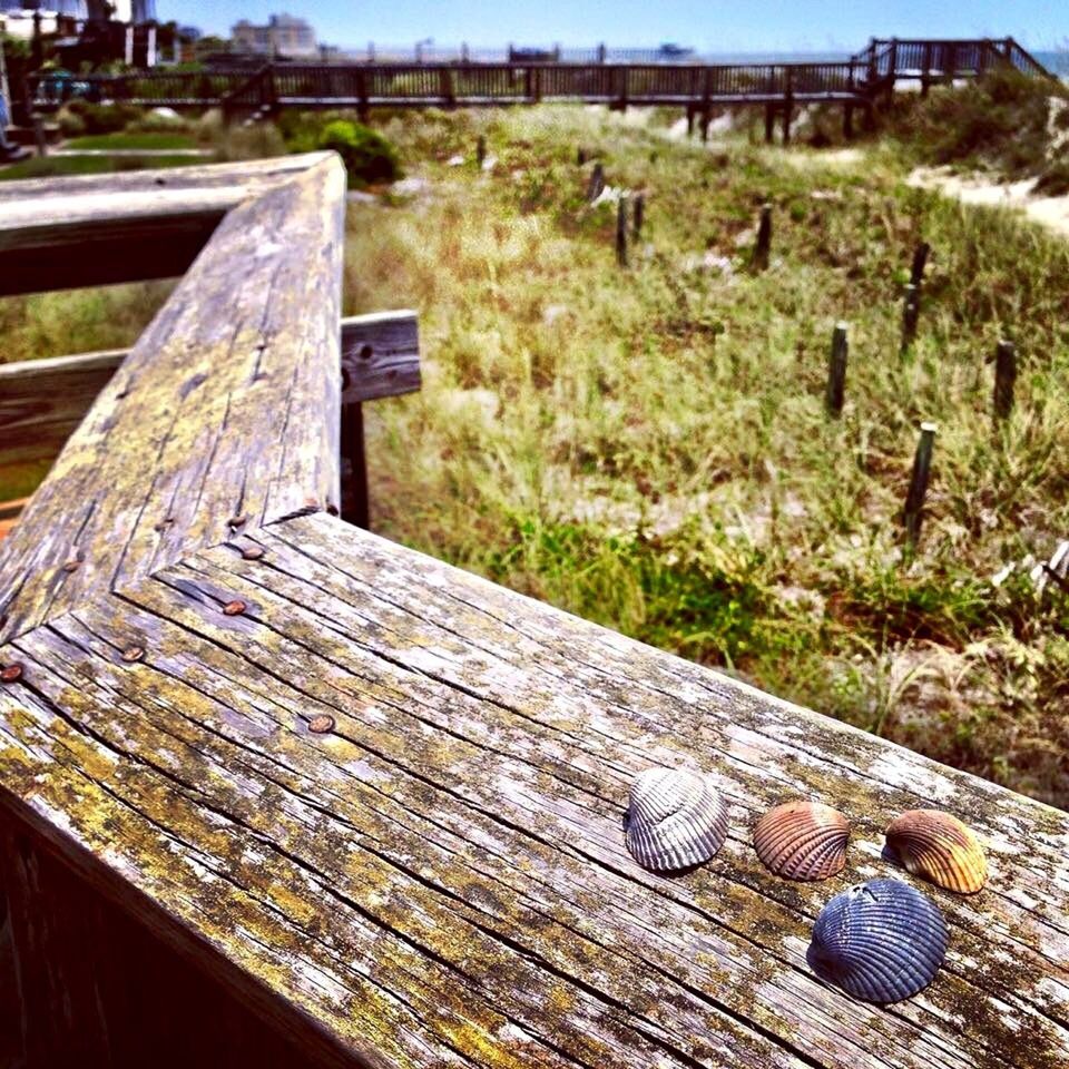 CLOSE-UP OF WOODEN PLANKS ON WOODEN PLANKS