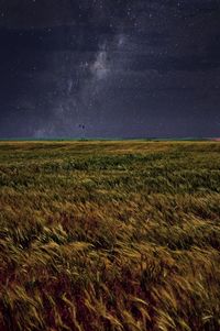 Scenic view of field against sky at night