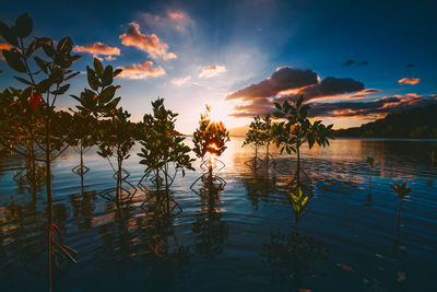 Scenic view of lake against sky during sunset