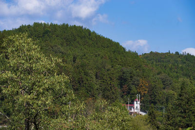 Scenic view of forest against sky