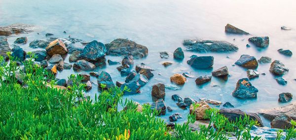 High angle view of rocks on sea shore