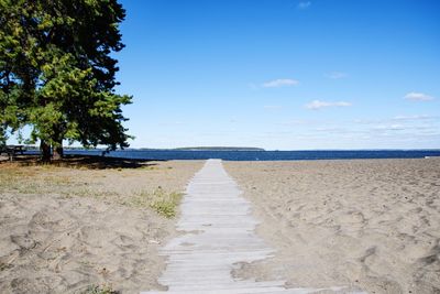 Surface level of calm beach against blue sky