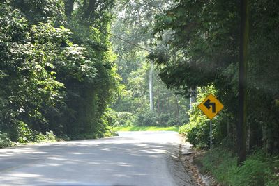 Road amidst trees in forest