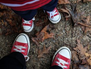 Low section of people wearing canvas shoe standing on field