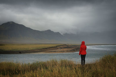 Rear view of man standing on riverbank