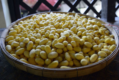 High angle view of cocoons in container