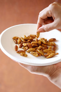 Cropped image of woman holding roasted silkworm over plate