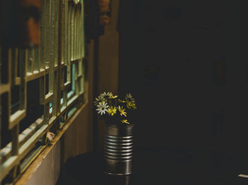 Flowers by the window