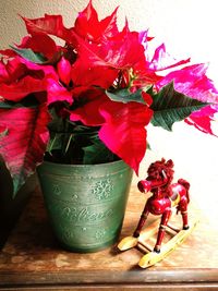 Close-up of flowers in vase