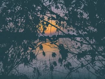 Silhouette tree by lake against sky during sunset