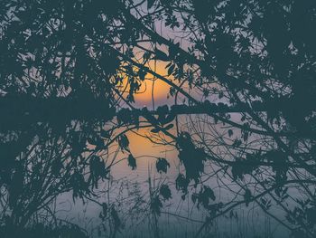 Silhouette tree by lake against sky during sunset