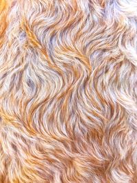 Full frame shot of tree