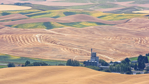 High angle view of agricultural field